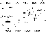 \begin{figure}
\par\includegraphics[width=6cm,clip]{sdfig13.eps}\end{figure}