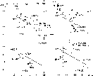 \begin{figure}
\par\includegraphics[width=12cm,clip]{sdfig20.eps}\end{figure}