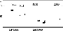 \begin{figure}
\includegraphics[width=8cm,clip]{sdfig12.eps}\end{figure}
