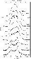 \begin{figure}
\par {
\psfig{figure=h2448f6.eps,width=7.5cm,height=14cm} }
\end{figure}