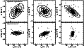 \begin{figure}{\psfig{file=AA10000deBruijnef06.eps,width=0.85\textwidth,silent=} }\end{figure}