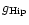 $g_{\rm Hip}$