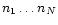 $n_{1}\ldots n_{N}$