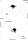 \begin{figure}
\par\includegraphics[width=8.8cm,clip]{fig1.eps}\end{figure}