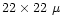 $22 \times 22~\mu$