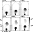 \begin{figure}
\par\includegraphics[width=0.48\textwidth, angle=0]{aa10248f2.eps}\end{figure}