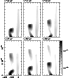 \begin{figure}
\par\includegraphics[width=0.48\textwidth, angle=0]{aa10248f3.eps}\end{figure}