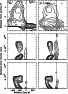 \begin{figure}
\par\includegraphics[width=0.48\textwidth, angle=0]{aa10248f7.eps}\end{figure}