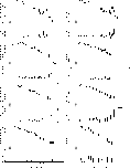 \begin{figure}
{ \hbox{ \psfig{figure=ms10105f3.ps,height=17.8cm,clip=} }} \end{figure}
