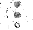 \begin{figure}
{ \hbox{ \psfig{figure=ms10105f4.ps,width=12.6cm,clip=} }}
\end{figure}