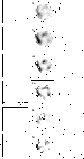 \begin{figure}
{ \hbox{
\psfig{figure=ms10105f5.ps,height=18.4cm,clip=} }}
\end{figure}
