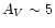 $A_{V} \sim 5$