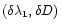 $(\delta\lambda_1,\delta D)$