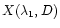 $X(\lambda_1,D)$