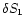 $\delta S_{1}$