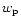 $w_{\rm {p}}$