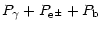 $\displaystyle P_{\gamma} + P_{\rm e^\pm} + P_{\rm {b}}$