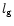 $l_{\rm {g}}$