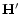$\mathbf{H}^{\prime }$