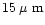 $15 \rm\hbox{\kern 0.20em {\rm$\mu$ m}}$