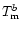 $T_{\rm m}^b$