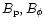 $B_{\rm p}, B_{\phi }$