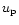 $u_{\rm p}$