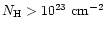 $N_{\rm H} > 10^{23}~{\rm cm}^{-2}$