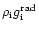 ${\rho}_{{\rm i}}{g}_{{\rm i}}^{{\rm rad}}$
