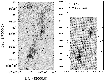 \begin{figure}
\par\resizebox{10cm}{!}
{
\includegraphics*[width=0.45\textwidth]...
...phics*[width=0.433\textwidth, bb=14 12.5 25 29]{2451.f49.eps}
}\par
\end{figure}