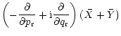 $\displaystyle \left(-{\partial \over \partial p_{\rm r}}+
{\rm i} {\partial \over \partial q_{\rm r}} \right) (\bar{X}+\bar{Y})$