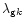 $\lambda_{{\rm g} k}$