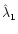 $\hat{\lambda}_1$