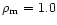 $\rho_{\rm m}=1.0$
