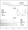 \begin{figure}
\includegraphics[width=8.8cm,clip]{fig5.ps}
\end{figure}