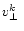 $\mbox{$v_\perp^{k}$ }$