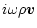 $\displaystyle i\omega\rho{\vec v}$