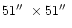 $51\hbox {$^{\prime \prime }$ }\times 51\hbox {$^{\prime \prime }$ }$