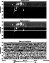 \begin{figure}
\par\epsfig{file=fig01.eps, width=8.5cm}\end{figure}
