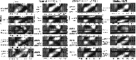 \begin{figure}
\includegraphics[width=18cm,clip]{10561f10.eps}
\end{figure}