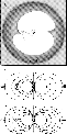 \begin{figure}
\par\resizebox{5.5cm}{!}{\includegraphics{h2430f23.eps}}\end{figure}