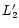 $L_{\rm 2}^{\prime }$
