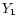 $Y_{\rm 1}$