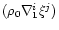 $(\rho_0 \nabla_1^i \xi^j ) $
