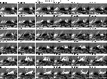 \begin{figure}
\par\psfig{file=m10569f2.eps,width=17cm,angle=0}\end{figure}