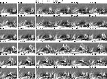 \begin{figure}
\par\psfig{file=m10569f4.eps,width=18cm,angle=0}\end{figure}