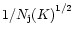 $1/{N_{\rm j}(K)}^{1/2}$