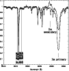 \begin{figure}
\par\includegraphics[width=8.8cm,clip]{h2462f1.ps}\end{figure}