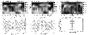 \begin{figure}
\par\includegraphics[width=16cm,clip,angle=0]{fig7.eps}\end{figure}