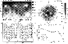 \begin{figure}
\par\includegraphics[width=18mm,clip,angle=0]{fig8.eps}\end{figure}